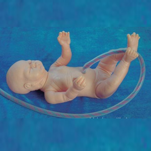 Baby care problems? A full-term baby model may give you the answer!